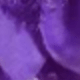 62125 Purple