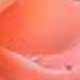 玫紅色
