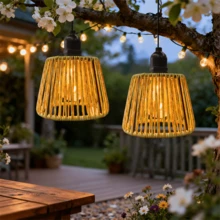 1pc Wicker Pendant Light, Wicker Bohemian Pendant Light, Wicker Lampshade With Timer, Battery Powered, Very Suitable For Coastal Style Hanging Lamps In Kitchen Islands, Terraces, Trees, Pergolas, Pavilions, And Porches - Battery Case - View 1