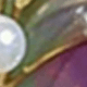 牡丹花款式