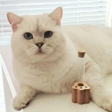 Christmas Cat Whisker Collectible Mini Glass Vial With Base And Lid, Elegant Pet Lover Souvenir Gift - Multicolor - View 7