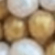 Elegant Gold