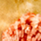 Nhiều màu 2