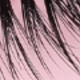 Cat Eye Lashes