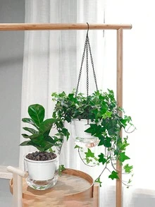 1 件简约设计透明悬挂花盆，塑料大口自浇水篮，可视水位花盆，适合吊兰 - 無色 - 查看 12