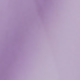 Màu Lilac Tím