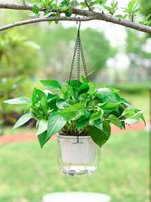 1 件简约设计透明悬挂花盆，塑料大口自浇水篮，可视水位花盆，适合吊兰 - 無色 - 查看 3