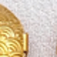 Amarillo Oro