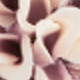 Purple Coffee Color