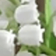 Nhiều màu