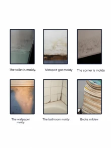 Jaysuing霉菌清除喷雾，多用途清洁喷雾，适用于天花板、浴室、瓷砖、墙壁，去除霉菌 - 彩色 - 查看 4