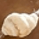 Nhiều màu
