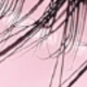 Half Eyelashes