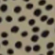 Màu Khaki