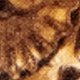 1 Set