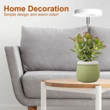 Adjustable Full Spectrum Indoor Plant Growth Light, LED Grow Light For Large Plants, Auto On/Off Timer (3/9/12H), 9 Brightness Levels - Full Spectrum - View 13