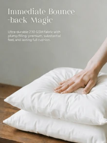 [Delivery Within 2-7 Days In The United States] Set Of 4 White Square Throw Pillows (45x45cm), Decorative Sofa Cushions. Soft Polyester Fabric With Plush Texture, Perfect For Beds And Sofas To Enhance Comfort And Modern Style. Decorative Accent Pillows Feature Vacuum-Packed Inner Cores With Strong Resilience, Offering Skin-Friendly Comfort, Breathability, And Durability. Vacuum-Sealed Individually Packaged For Simplicity And Durability. - 1PC - 查看 10