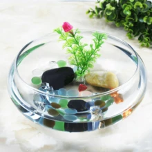1/2 chiếc bể cá trong suốt, bình hoa, bể cá Betta tròn bằng nhựa 0,74 gallon và chậu trồng thủy canh, hộp đựng cây thủy sinh, chậu hoa thủy tiên, bình hoa miệng rộng 7,8 inch dùng cho cây không khí, cây mọng nước, trang trí bàn tiệc cưới, trang trí nhà cửa. - 1PC - Xem 11