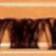 trái cam