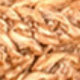 màu nâu