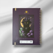 Cuaderno Profesional "Gatitos Cósmicos" (100 hojas) Cuadro Chico - B - Ver 4