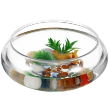 1/2 chiếc bể cá trong suốt, bình hoa, bể cá Betta tròn bằng nhựa 0,74 gallon và chậu trồng thủy canh, hộp đựng cây thủy sinh, chậu hoa thủy tiên, bình hoa miệng rộng 7,8 inch dùng cho cây không khí, cây mọng nước, trang trí bàn tiệc cưới, trang trí nhà cửa. - 1PC - Xem 9