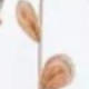 1PC