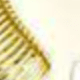 Dorado