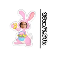 Customizable Cat Photo Pillow DIY Pet Memorial Gift 3D Animal Image Pillow Personalized Lost Dog Gift Dog Photo Cushion Christmas Gift - Easter Pink Bunny - View 12