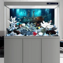 沉船水族馆背景画,海洋宝藏骷髅主题水族馆贴纸,水下探险主题,高清材质,逼真场景,水族馆/海龟缸装饰贴纸,水族馆景观装饰,营造神秘水下氛围 - A - 查看 5
