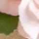 彩色