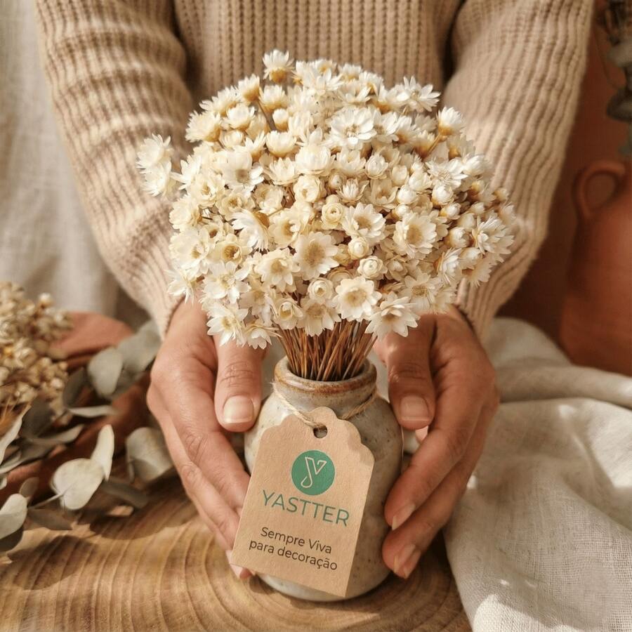 Always Alive For Decoration – Premium Bouquet Of Dried Flowers Type 1 Extra (VASE NOT INCLUDED) - 粉紅色的 - 查看 1