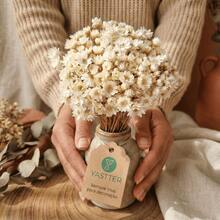 Always Alive For Decoration – Premium Bouquet Of Dried Flowers Type 1 Extra (VASE NOT INCLUDED) - Black - View 1