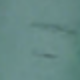多色
