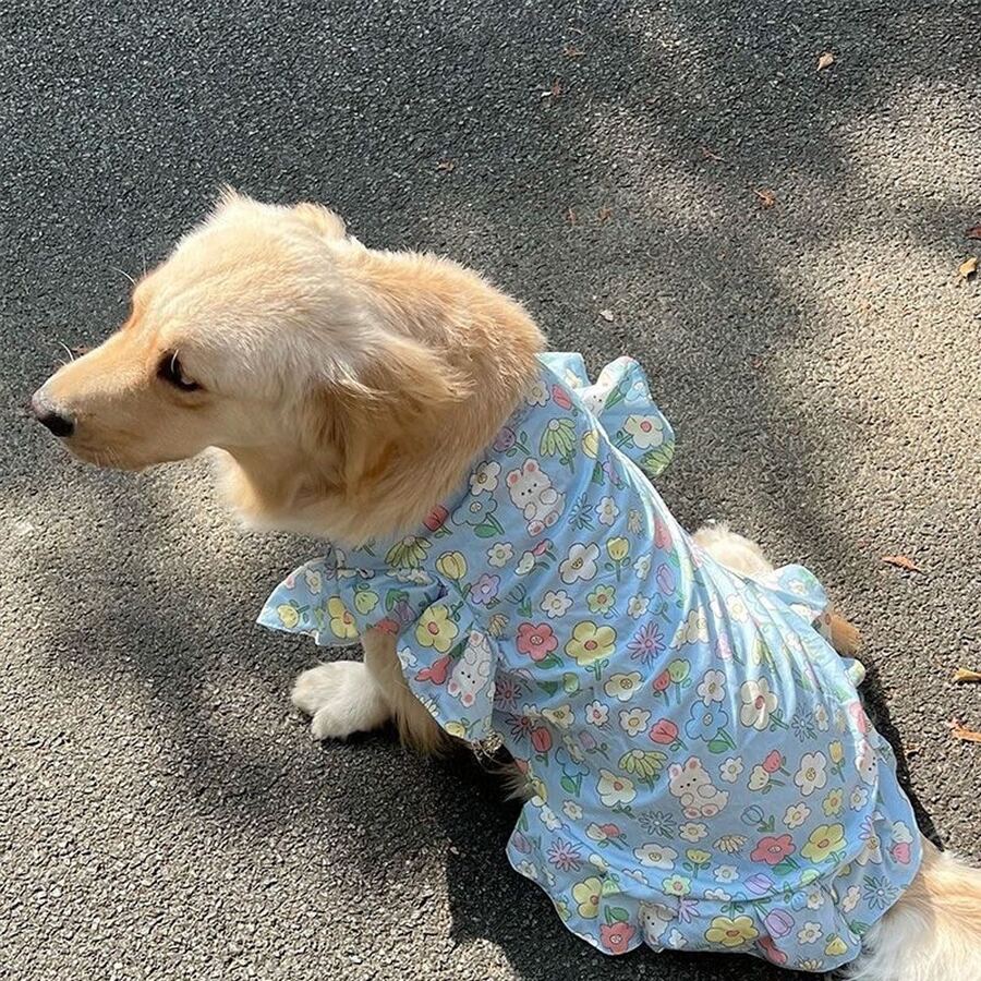 1 chiếc váy hoa nhí cho chó cỡ lớn, váy hoa màu hồng dễ thương phù hợp với chó Golden Retriever, Samoyed, Labrador và các giống chó lớn khác. - Màu xanh lam - Xem 1