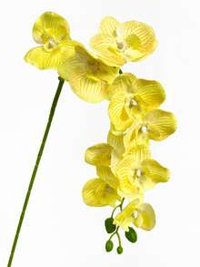 1/3/6 bông hoa lan Phalaenopsis nhân tạo, cao 69cm. Hoa giả thích hợp để trang trí tường, phòng khách, phòng ngủ, đám cưới, tiệc tùng, bàn làm việc, nhà cửa, văn phòng, trang trí bàn tiệc, ngoài trời, sân vườn. Thích hợp cho mùa xuân, hè, thu, đông. - Màu vàng - Xem 4