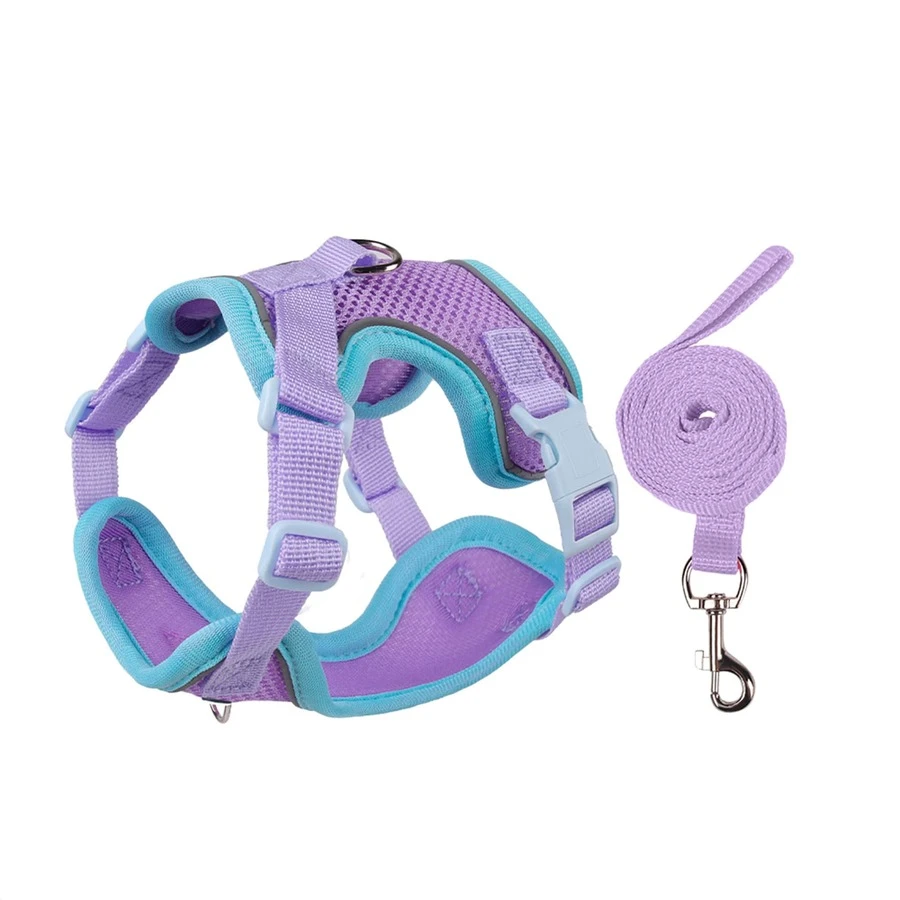 UNA MASCOTA Pet Collars, Leashes & Harnesses Sets - Violet Purple - View 1