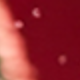 聖誕紅