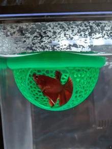 1 chiếc nhà cá nổi - Nhà cá có cửa vòm, thích hợp cho cá Betta, cá Guppy và cá Vàng - Bể cá mini cho bể cá nhỏ, chậu cá và ao - Tiết kiệm không gian, dễ vệ sinh, không cần điện. - Thủy cung hạnh phúc - Xem 6
