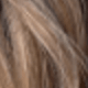 Brown Ombre