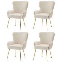 Dining Chairs - Beige+Gold + Velvet-1 - View 5