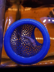 1 chiếc nhà cá nổi - Nhà cá có cửa vòm, thích hợp cho cá Betta, cá Guppy và cá Vàng - Bể cá mini cho bể cá nhỏ, chậu cá và ao - Tiết kiệm không gian, dễ vệ sinh, không cần điện. - Thủy cung hạnh phúc - Xem 5