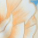 花黃色