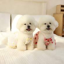 1件宠物连衣裙，轻薄夏季宠物薄纱连衣裙，适合狗狗、贵宾犬、比熊犬、泰迪犬、约克夏梗犬、雪纳瑞犬、小型犬等。 - 白色 - 查看 13