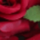 Đỏ