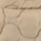 Kaki
