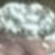 Bạc