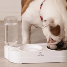 Durable Plastic Construction, Dog Water Dispenser, Dry/Wet Separation, Pink/Green - 500ml - View 3