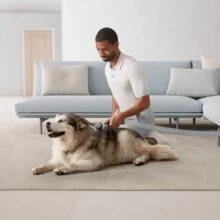 Dyson Ball Animal 3 Extra Upright Vacuum In Copper/Silver (Dyson Certified Refurbished) - A - 查看 5