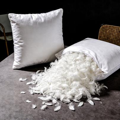 1/2 piezas Inserto de almohada relleno de plumas, Tamaños disponibles: 21*21in/20*20in/18*18in/14*21in, Núcleo de almohada cuadrada suave y esponjosa, Relleno de plumas de ganso y pato, Funda de almohada, Cojín decorativo para sofá, cama, dormitorio y sala de estar, Calidad de hotel de lujo, Blanco
